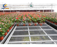 Stationary Metal Greenhouse Benches For Commercial Nursery