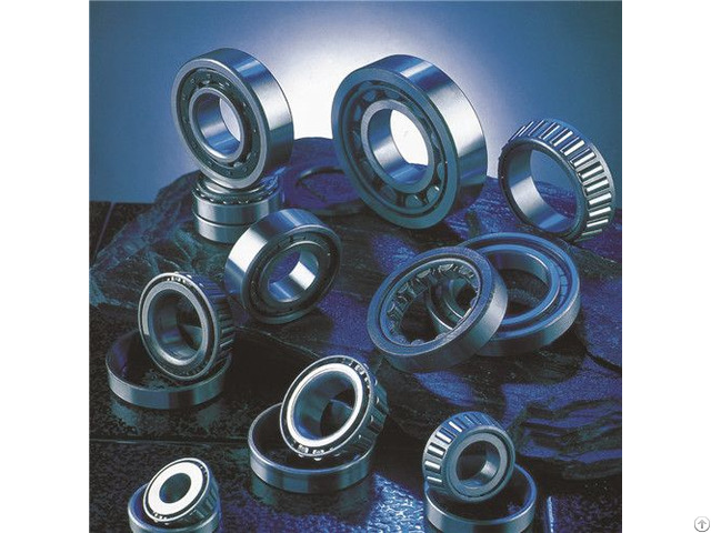 China High Quality Precision Low Price Cylindrical Bearing