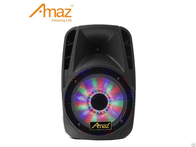 Al1203 12 Inch Multifunctional Pa Active Speaker System With Fm Function