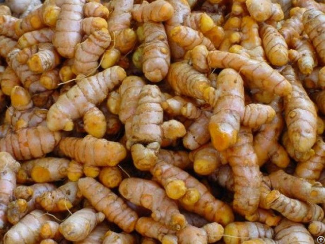 Organic Turmeric And Ginger Origin Viet Nam