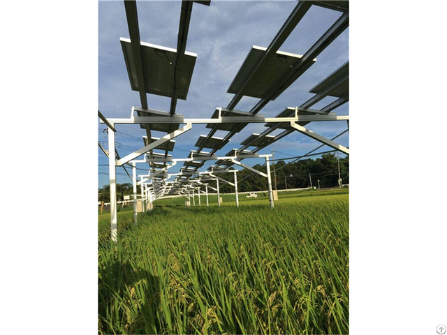 Solar Agriculture Mounting Bracket Farm System