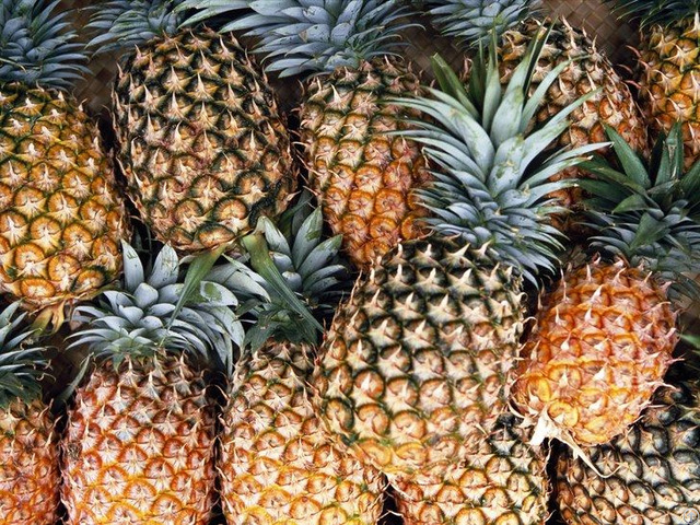 Fresh Pineapple Fruit