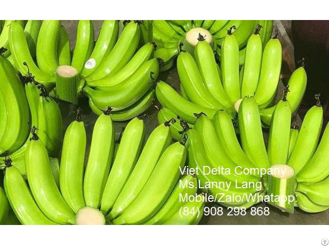 Fresh Banana Fruit