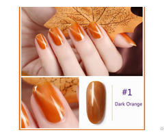 Cat Eye Soak Off Nail Gel Polish 3d Pumpkin Series Healthy Manicure