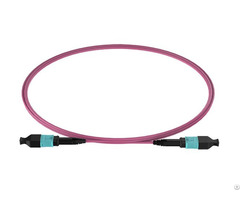 Mpo Om3 12 24 Trunk Cable