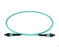Mpo Mtp Om3 12 Trunk Cable