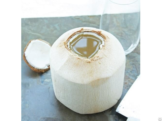 Fresh Young Coconut Natural