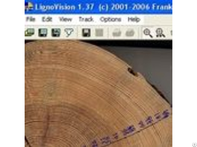 Surface Scans Tree Rings With A Mouse Click