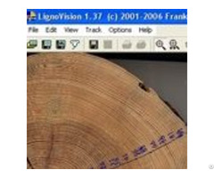 Surface Scans Tree Rings With A Mouse Click