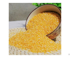 Hybrid Yellow Maize
