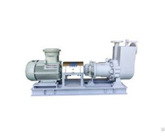 Api685 Horizontal Overhung Self Priming Sealless Magnetic Drive Pump