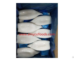 Frozen Squid Tube High Quality Low Price