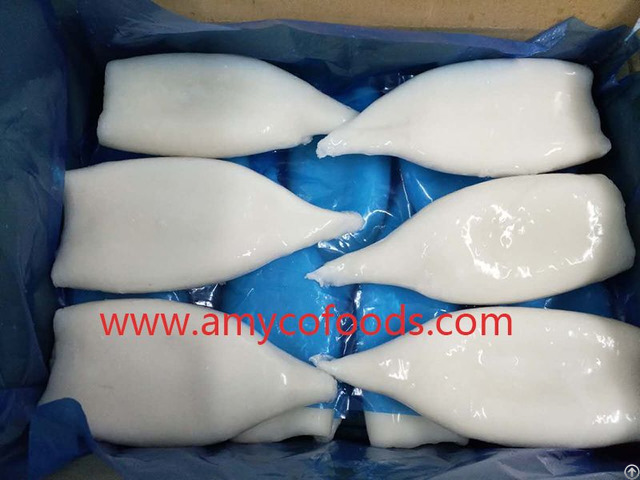 Frozen Squid Tube Supply From China