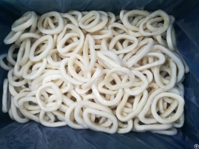 Frozen Squid Rings High Quality Low Price