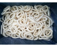 Frozen Squid Rings High Quality Low Price