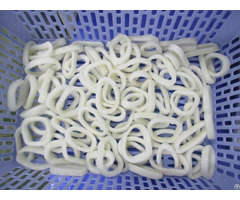 Squid Rings High Quality Low Price