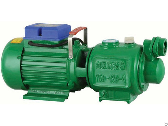 Zgd Self Priming Screw Pump