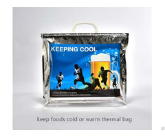 Keep Foods Cold Or Warm Thermal Bag