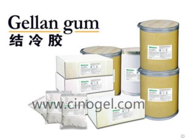 Gellan Gum E418 Cinogel Biotech