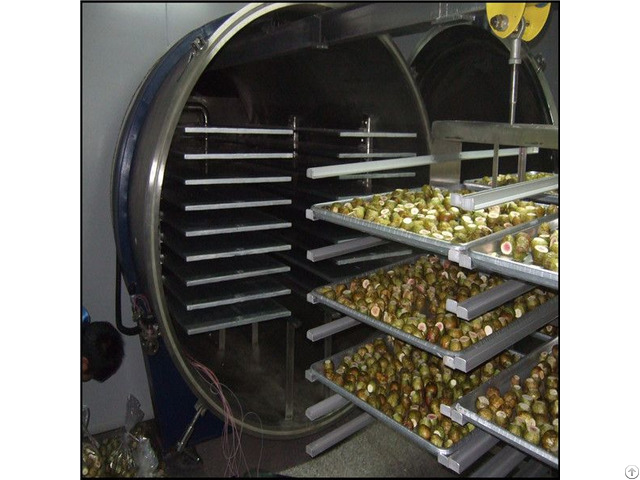 Factory Price Fruit Freeze Dryer Equipment For Banana Vegetable