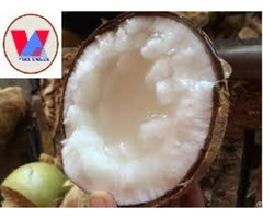 Wax Coconut Viet Delta