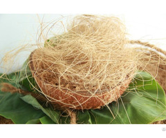 Vietnam Coconut Fiber