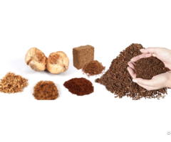 Coco Peat For Soil