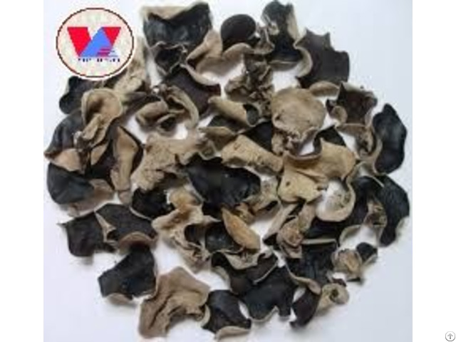 Black Fungus Sellers