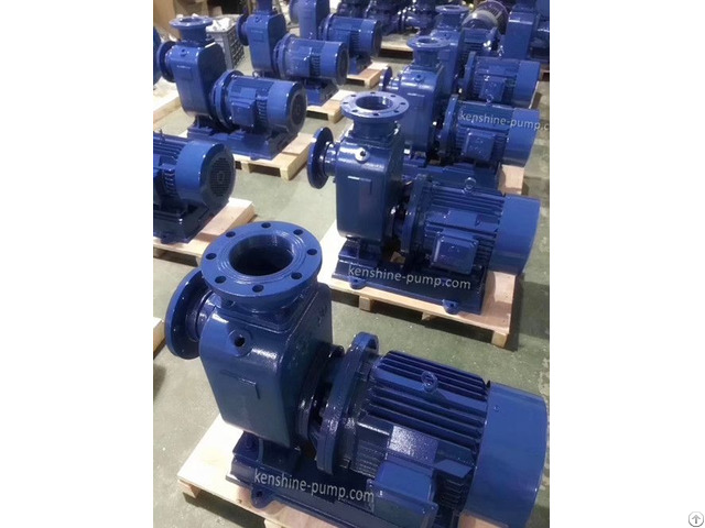 Zwl Self Priming Sewage Pump