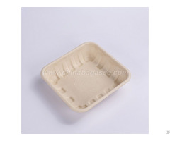 Paper Biodegradable 14 D Tray