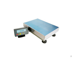 Precision Weighing Platform Scale 1g