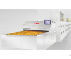 China Commercial Hot Selling Good Quality Energy Saving Tunnel Oven Manufacture
