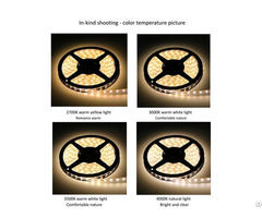 Led High Brightness And 5050 Casing Low Voltage Light Strip Wholesale