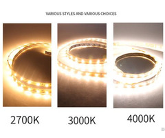 Led High Brightness And 5050 Bare Board Low Voltage Light Strip Wholesale