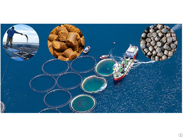 Effects Of Floating Fish Feed On Aquaculture