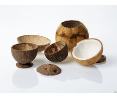 Household Items From Coconut Shells