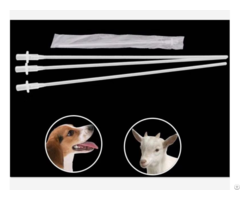 Insemination Catheter For Dog Canine