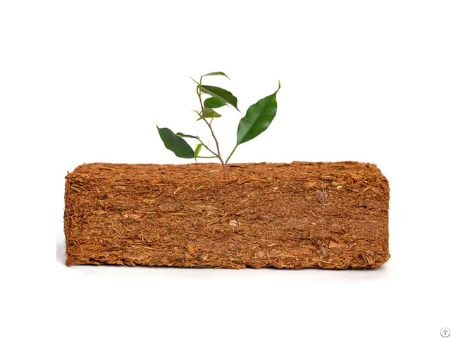 Coir Pith Coco Block