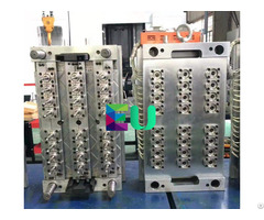 Plastic Injection Small Gate Itself Locking Preform Mould