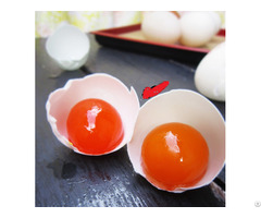 Vietnam Salt Egg