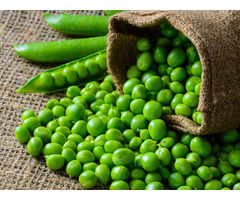 Green Beans Vietdelta