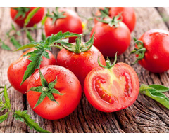 Fresh Cherry Tomato Vietdelta