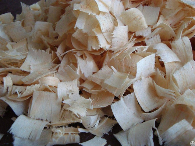 Pine Wood Shavings Vietdelta