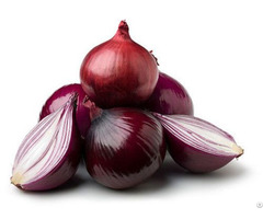 Fresh Red Onion Vietdelta