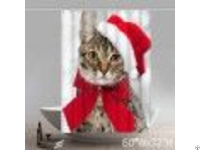 Funny Cat With Santa Hat Kitchen Christmas Shower Curtains