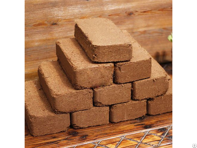 Coco Peat Block