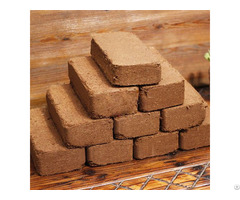 Coco Peat Block