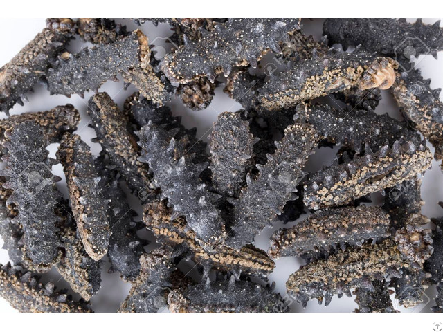 Dried Sea Cucumber