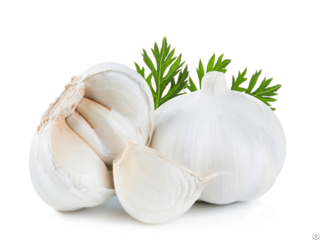 Leading Garlic Supplier In China