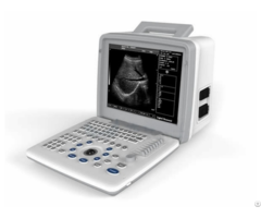 Ultrasound Scanner Bw 5